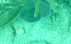 the-ebenezer-local-dive-12