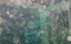 the-ebenezer-local-dive-25