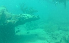 the-ebenezer-local-dive-28