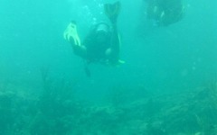 the-ebenezer-local-dive-29