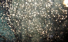 what-bar-association-do...-033