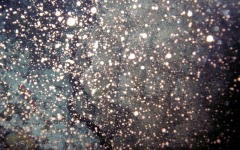 what-bar-association-do...-056