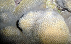 what-bar-association-do...-082