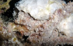 what-bar-association-do...-098