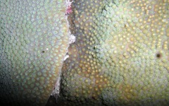 what-bar-association-do...-102