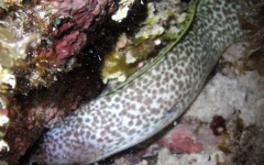 what-bar-association-do...-104