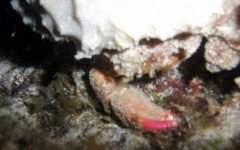 what-bar-association-do...-109