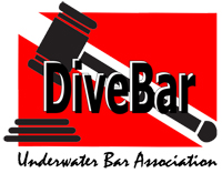 dive-bar-logo-white2